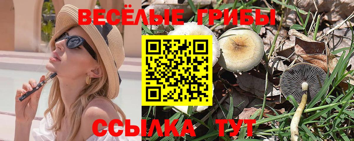 Красноармейск  Галлюциногенные грибы Magic Shrooms  Вход с VPN 