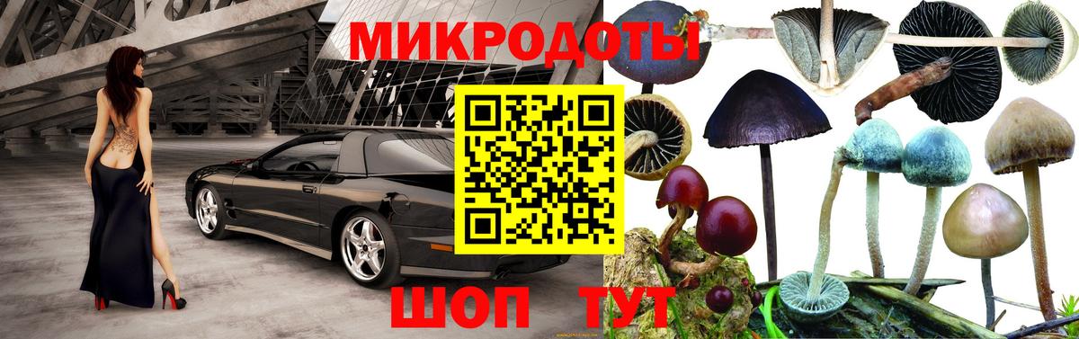 Галлюциногенные грибы ЛСД Красноармейск